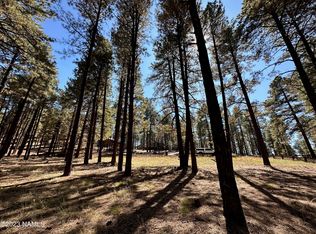 7549 E Long Bow Dr #71, Williams, AZ 86046