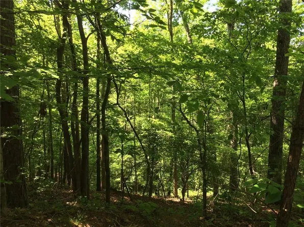 14 Hawks Branch Ln Lot 122, White, GA 30184