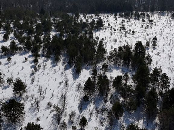 3rd image of Reynolds Rd