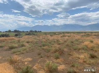 2573 Last Chance Ct, Minden, NV 89423