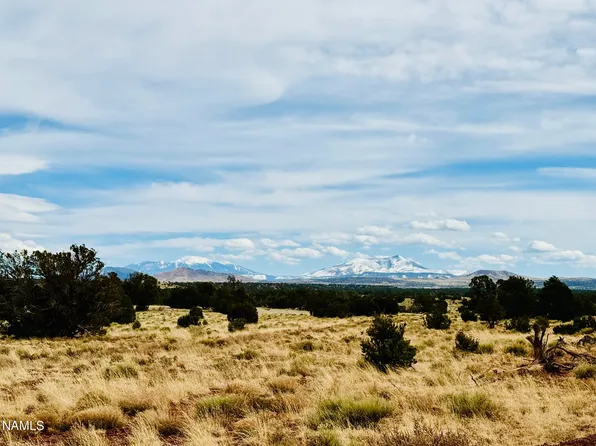 9996 Bird Dog Cir, Williams, AZ 86046