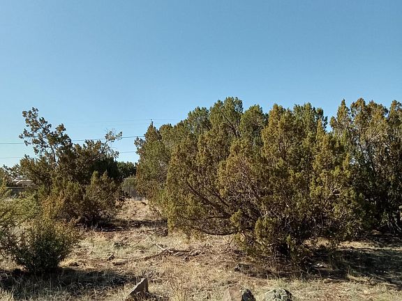 4th image of 8579 Jackrabbit Dr