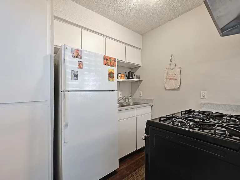502/504 Elmwood Studios — Photo 10
