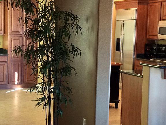 5th image of 1226 Calcione Dr