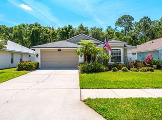 326 Tavernier Dr, Oldsmar, FL 34677