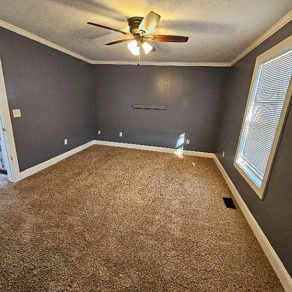 2916 Acorn Dr — Photo 6