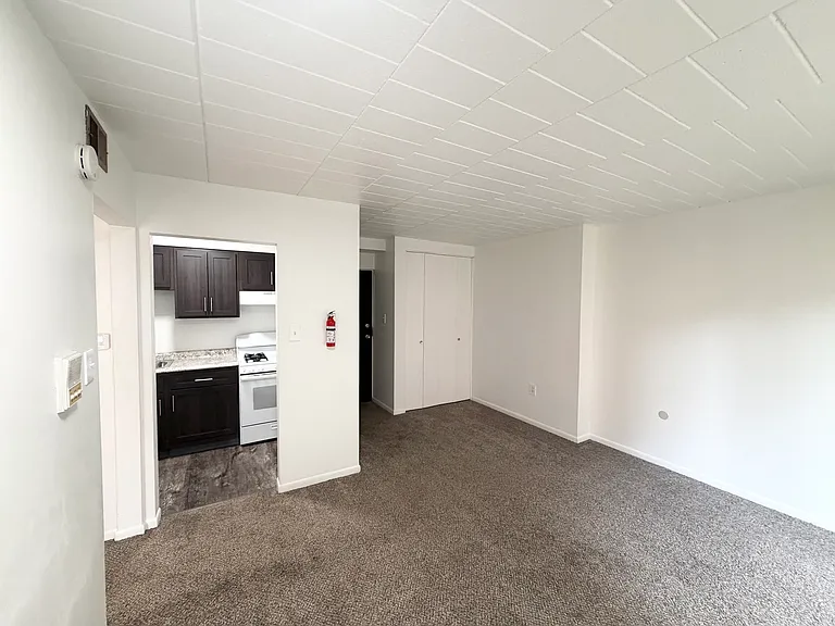 470 Dawson Ave #3 — Photo 3