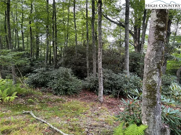Lot 3 & 4 Fieldstone Hts Drive, Blowing Rock, NC 28605