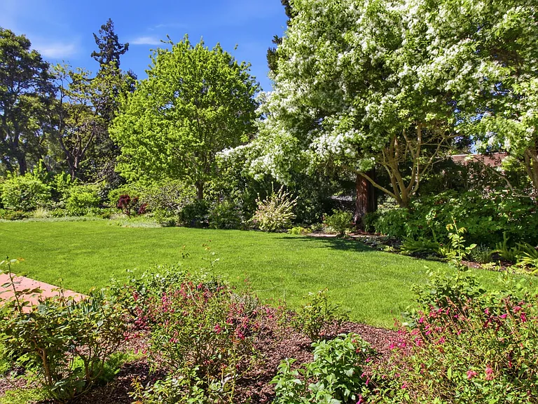 Alejandra Ave — Photo 24