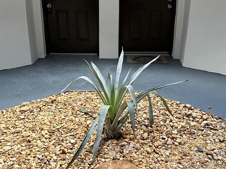215 Lake Pointe Dr #101 — Photo 16