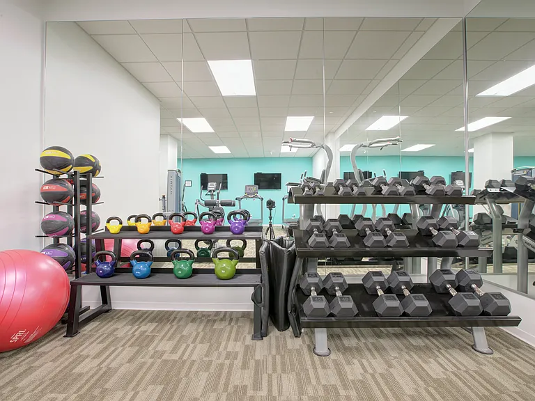 Free Weights