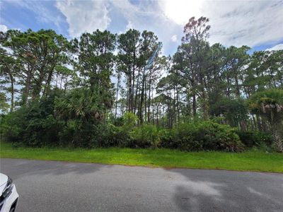 12501 Welon Ave #29, Pt Charlotte, FL, 33953