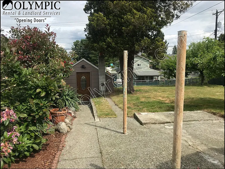 Back yard_05292018