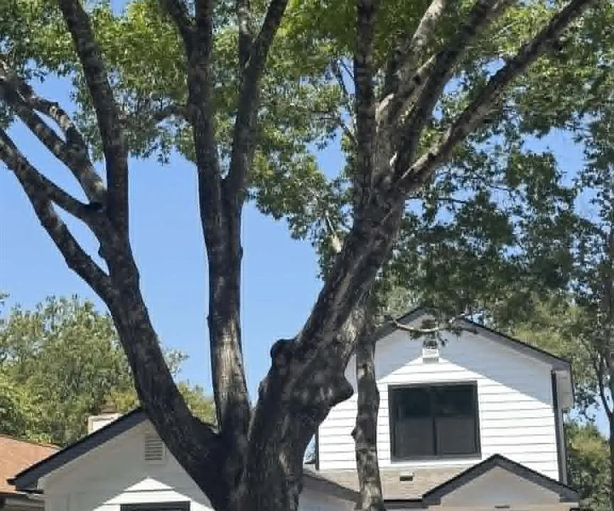 845 Topaz Ln