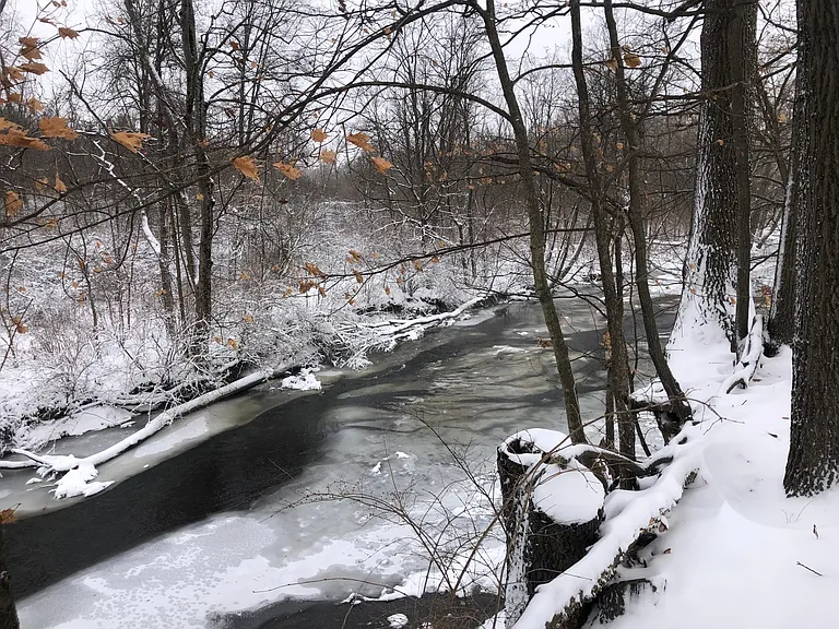 Rocky Fork Dr — Photo 44