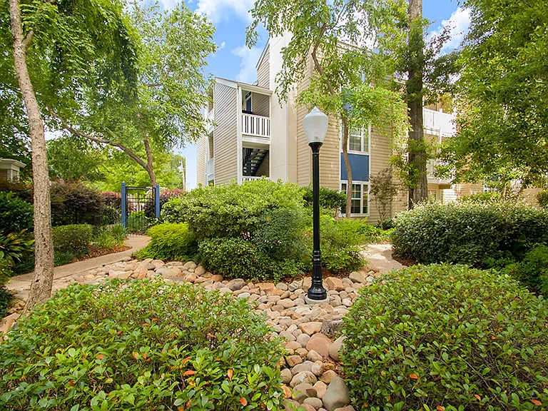 Cypress Creek — Photo 20