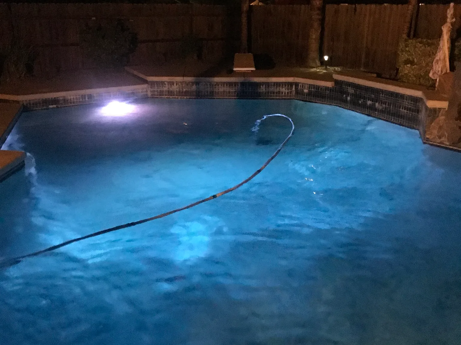 5 bed, 2500 sqft, $3,000 — Photo 3