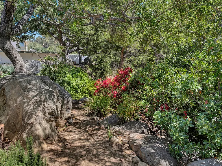 Creekside path behind condo.