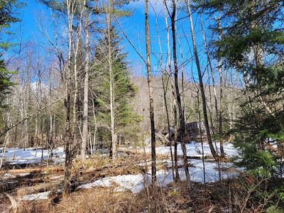 783 & 747 Alder Brook Rd, Vermontville, NY, 12989