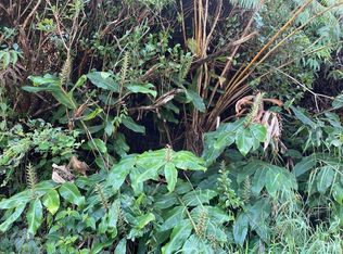 Road 13 LOT 721, Volcano, HI 96785