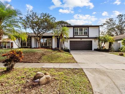 4020 Dellbrook Dr, Tampa, FL, 33624