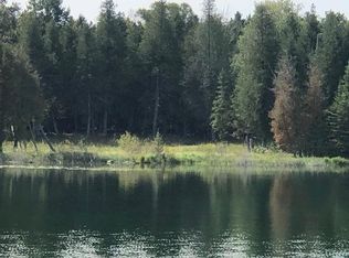 S Dumler Ln, Cedarville, MI 49719