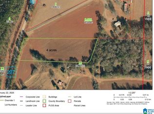 4263 Plantersville Rd, Alpine, AL 35014