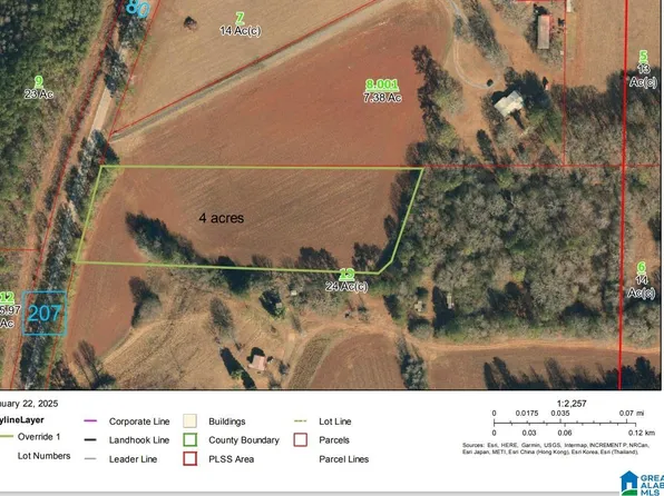 4263 Plantersville Rd, Alpine, AL 35014