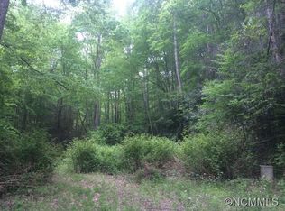 130 Saw Branch Rd, Candler, NC 28715