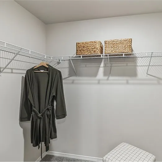 Primary walk-in closet
