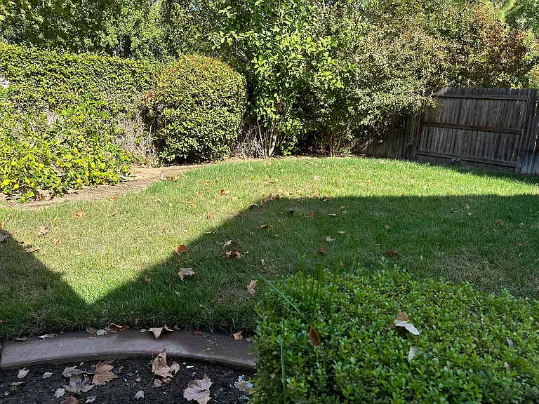 10037 Wild Orchid Way — Photo 32