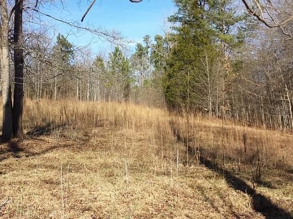 5th image of 0 Mossy Creek Ct