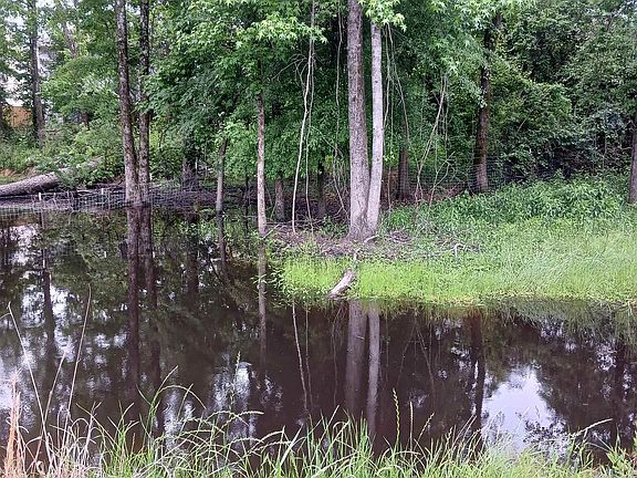 2nd image of 1991 Nixon Rd #0