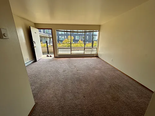 4119 11th Ave NE #1006 Photo 1