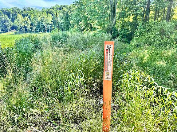2nd image of State Rd