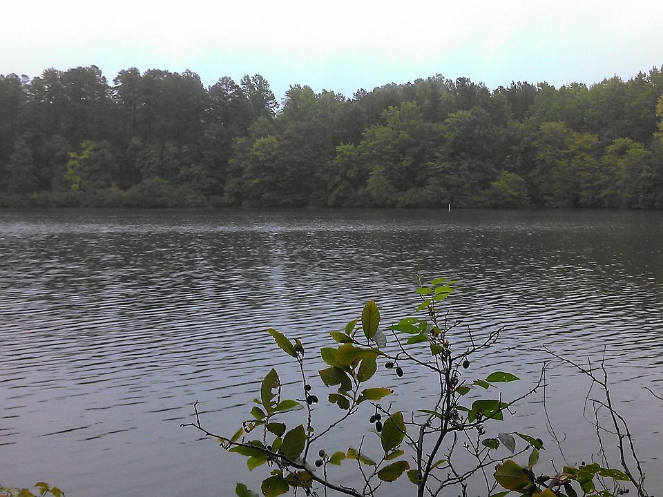 View from front of lot