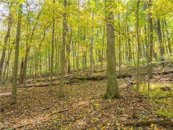 Township Road 228, Glenmont, OH 44628