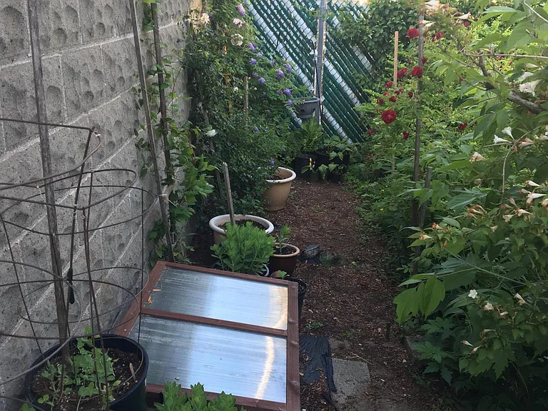 Garden Area