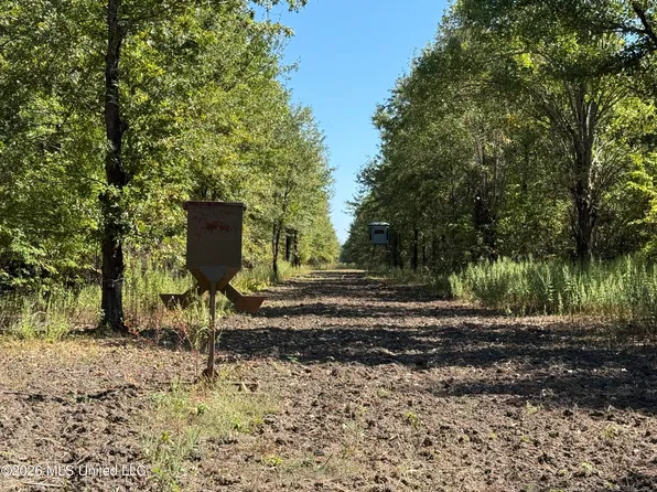 0 Priddy Rd, Rolling Fork, MS 39159