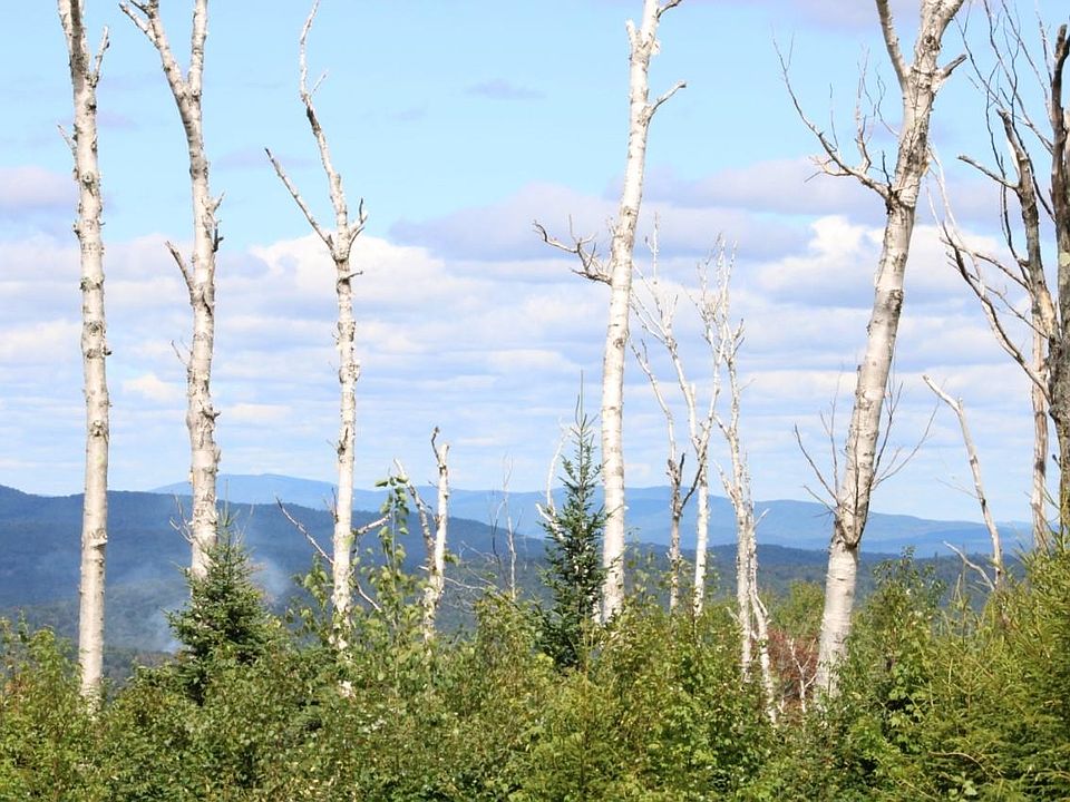 706 State Route 100, West Wardsboro, VT 05360 Zillow