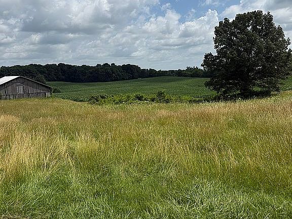 4th image of 7329 Blackjack Rd