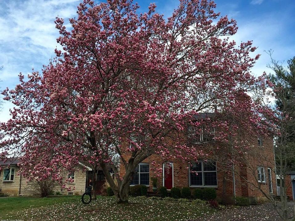 1040715_10208063372440398_43661063257050