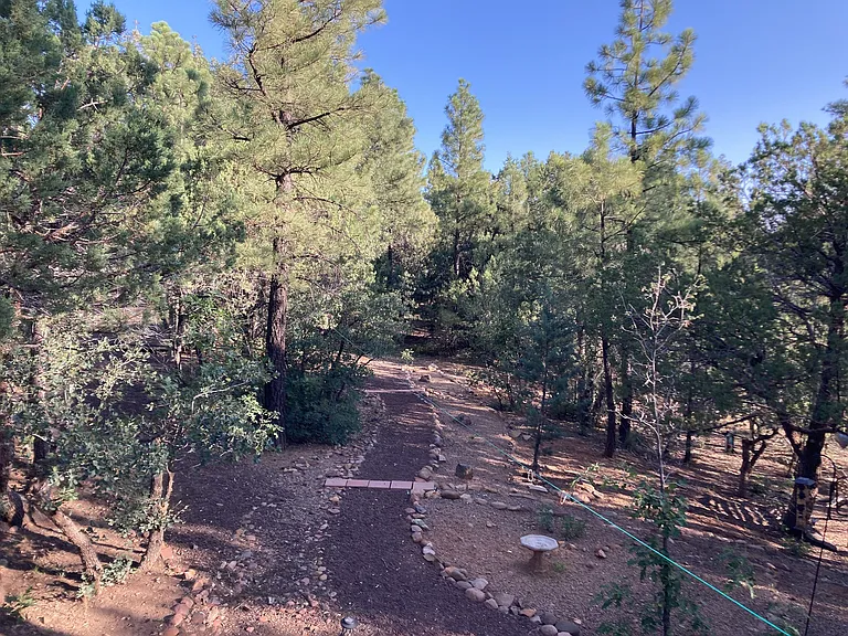 3239 Pine Needle Dr — Photo 19