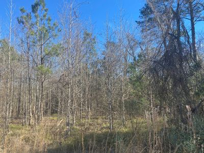 0 Bass Rd, Grayson, LA, 71435