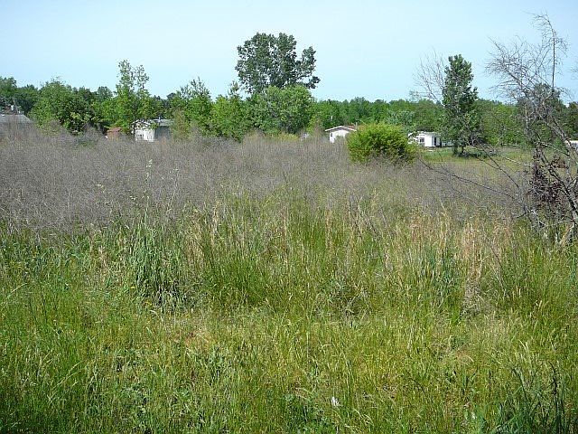 2nd image of 219 Williams Rd