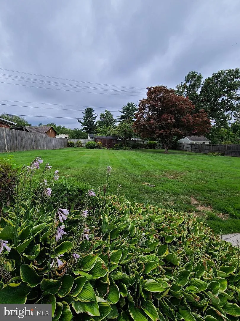 1 bed, 2000 sqft, $850 — Photo 3