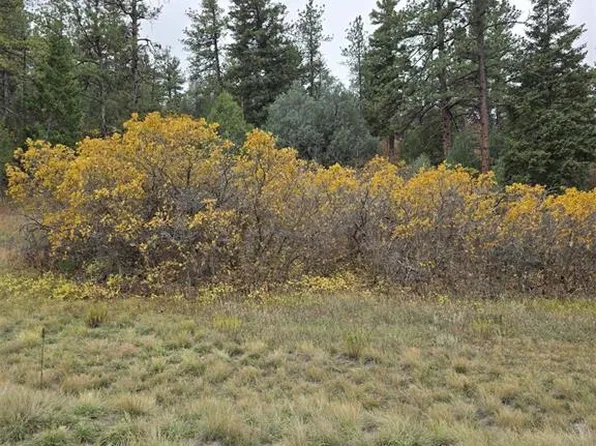 4716 Comanche Dr, Larkspur, CO 80118