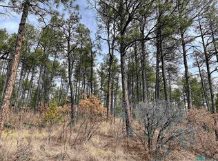 43 Arapaho, Timberon, NM 88350