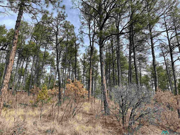 43 Arapaho, Timberon, NM 88350