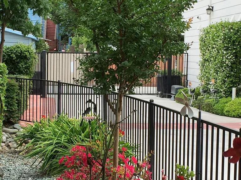 Driveway to Alley